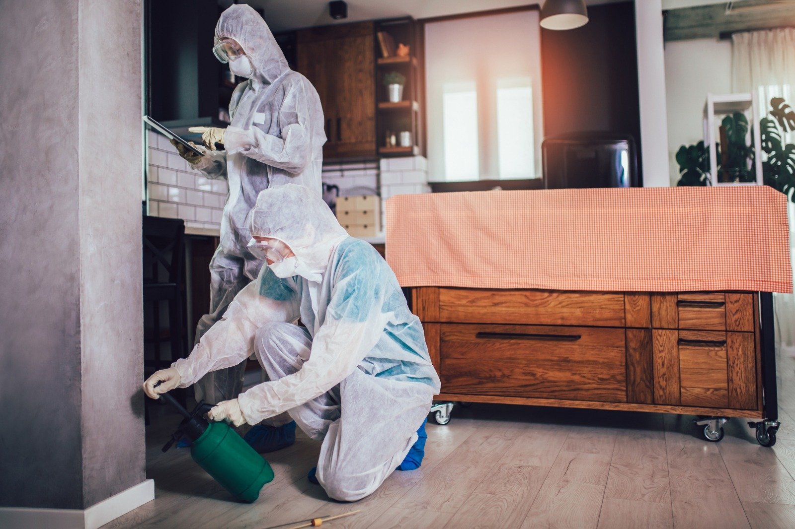 Pest Control Services